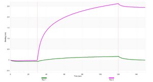 Anti-Mitofusin-1 Antibody, clone 1I7 ZooMAb&#174; Rabbit Monoclonal recombinant, expressed in HEK 293 cells