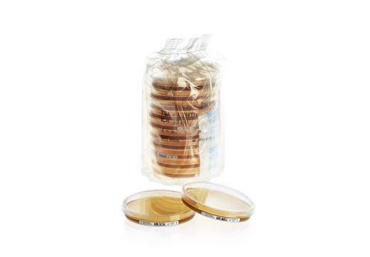 Tryptic Soy Agar - Ready-to-use Settle Plates IsoBag&#174;, Sodium thiosulfate, Tween&#174;, Lecithin, Histidine, 190 mm alpha-port ICR plate, sterile; irradiated, plate diam. 90&#160;mm, suitable for air monitoring