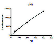 cKit active human recombinant, expressed in baculovirus infected Sf9 cells, &#8805;70% (SDS-PAGE)