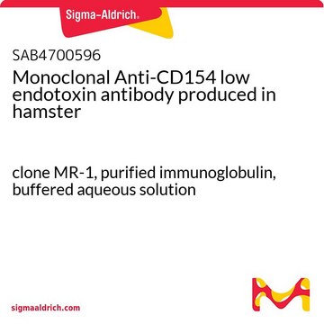 Monoclonal Anti-CD154 low endotoxin antibody produced in hamster clone MR-1, purified immunoglobulin, buffered aqueous solution