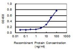 Monoclonal Anti-TRPA1 antibody produced in mouse clone 6G8, purified immunoglobulin, buffered aqueous solution