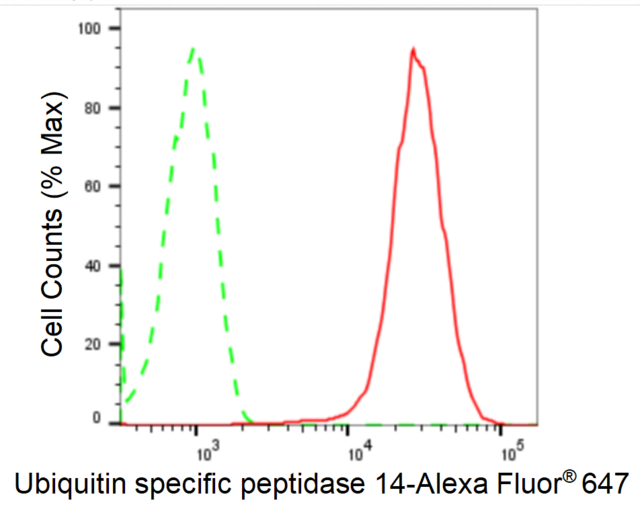 KD-Validated Anti Ubiquitin Specific Peptidase 14 Antibody, clone 24GB2190, Rabbit Monoclonal clone 24GB2190, recombinant rabbit monoclonal, expressed in HEK293 cells