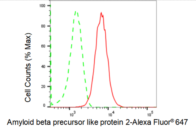 KD-Validated Anti Amyloid beta precursor like protein 2 Antibody, clone 23GB1595, Rabbit Monoclonal clone 23GB1595, recombinant rabbit monoclonal, expressed in HEK293 cells