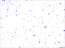 Crystal Violet Solution