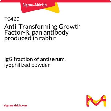 Anti-Transforming Growth Factor-&#946;, pan antibody produced in rabbit IgG fraction of antiserum, lyophilized powder