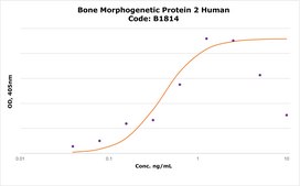 Bone Morphogenetic Protein 2 human Carrier Free, ≥98% (SDS-PAGE), recombinant, expressed in E. coli, lyophilized powder, suitable for cell culture