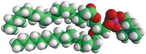 18:0-16:0 PC 1-stearoyl-2-palmitoyl-sn-glycero-3-phosphocholine, powder