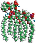 Kdo2-Lipid A (KLA) Avanti Research&#8482; - A Croda Brand