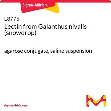 Lectin from Galanthus nivalis (snowdrop) agarose conjugate, saline suspension