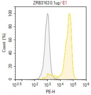 Anti-TLR9/CD289 Antibody, clone 2L12 ZooMAb&#174; Rabbit Monoclonal recombinant, expressed in HEK 293 cells