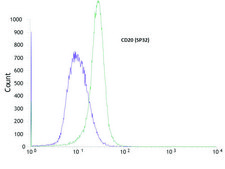 Anti-CD20 antibody, Rabbit monoclonal clone SP32, recombinant, expressed in proprietary host, affinity isolated antibody