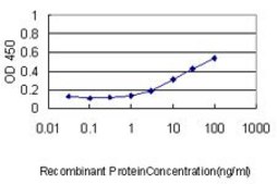 Monoclonal Anti-CASQ2 antibody produced in mouse clone 1B6, purified immunoglobulin, buffered aqueous solution
