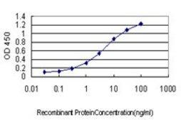 Monoclonal Anti-NRAS antibody produced in mouse clone 2A3, purified immunoglobulin, buffered aqueous solution