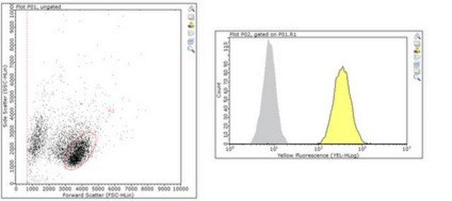 Anti-uPAR (CD87) Antibody, clone 5D6 clone 5D6, from mouse