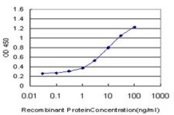ANTI-NMI antibody produced in mouse clone 10E5, purified immunoglobulin, buffered aqueous solution