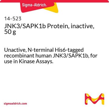 JNK3/SAPK1b Protein, inactive, 50 g Unactive, N-terminal His6-tagged recombinant human JNK3/SAPK1b, for use in Kinase Assays.