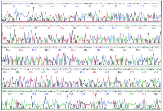 GenElute&#8482; Plasmid Miniprep Kit sufficient for 70&#160;purifications