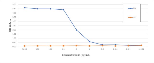 Anti-EGF Antibody, clone 2G3 ZooMAb&#174; Rabbit Monoclonal recombinant, expressed in HEK 293 cells
