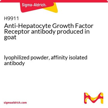 Anti-Hepatocyte Growth Factor Receptor antibody produced in goat lyophilized powder, affinity isolated antibody