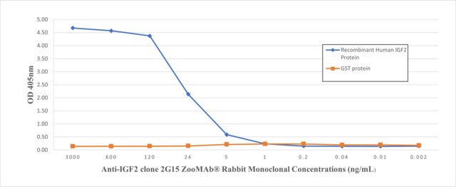 Anti-IGF2 Antibody, clone 2G15 ZooMAb&#174; Rabbit Monoclonal recombinant, expressed in HEK 293 cells