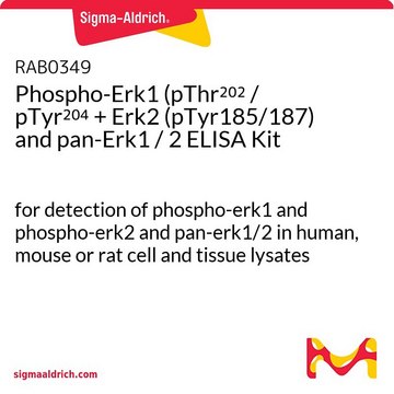 Phospho-Erk1 (pThr202 / pTyr204 + Erk2 (pTyr185/187) and pan-Erk1 / 2 ELISA Kit for detection of phospho-erk1 and phospho-erk2 and pan-erk1/2 in human, mouse or rat cell and tissue lysates