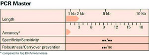 PCR Master (50 &#956;l final reaction volume each containing 2.5 U Taq DNA-Polymerase), sufficient for 200&#160;reactions, kit of 1 (2 components), suitable for PCR