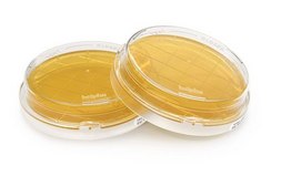 Tryptic Soy Agar - Ready-to-use Contact Plates IsoBag&#174;, Lecithin, Tween&#174;, ICR plate with non-lockable lid, plate diam. 55&#160;mm, DPTE Beta Bag with 190 mm alpha-port, sterile; irradiated, single packed of 10 × 10&#160;plates, suitable for surface monitoring