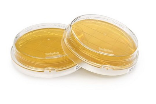 Tryptic Soy Agar - Ready-to-use Contact Plates Tween&#174;, Sodium Thiosulfate, Lecithin, Histidine, lid, ICR Plus: lockable, plate diam. 55&#160;mm, irradiated, triple packed of 10&#160;plates, suitable for surface monitoring