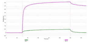 Anti-TIMP2 Antibody, clone 2H23 ZooMAb&#174; Rabbit Monoclonal recombinant, expressed in HEK 293 cells
