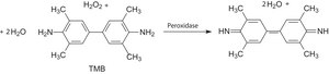 3,3&#8242;,5,5&#8242;-Tetramethylbenzidine &#8805;99%