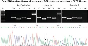 KAPA Express Extract