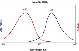 Egg NBD PE Avanti Research&#8482; - A Croda Brand 810118P, powder