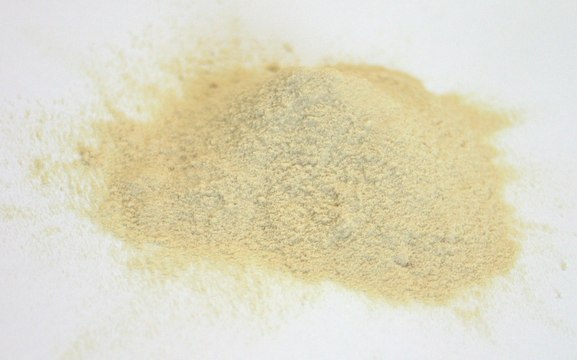 Yeast Extract suitable for microbiology