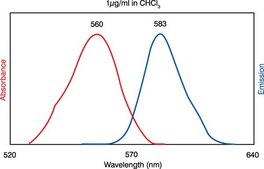 Egg Liss Rhod PE Avanti Research&#8482; - A Croda Brand