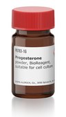 Progesterone powder, BioReagent, suitable for cell culture