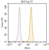 Anti-ST2/IL-33R Antibody, clone RMST-2 ZooMAb&#174; Rat Monoclonal recombinant, expressed in HEK 293 cells