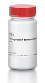 Thyroglobulin from porcine thyroid gland powder