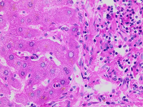 Scott&#8242;s Tap Water Substitute Concentrate 10&#160;×