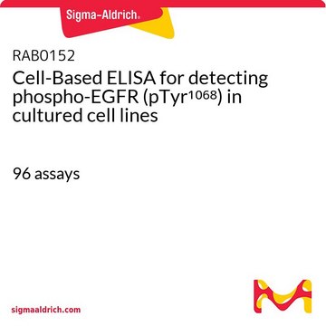 Cell-Based ELISA for detecting phospho-EGFR (pTyr1068) in cultured cell lines 96&#160;assays