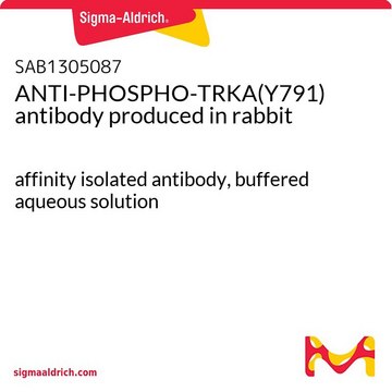 ANTI-PHOSPHO-TRKA(Y791) antibody produced in rabbit affinity isolated antibody, buffered aqueous solution