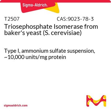 Triosephosphate Isomerase from baker’s yeast (S.&#160;cerevisiae) Type I, ammonium sulfate suspension, ~10,000&#160;units/mg protein