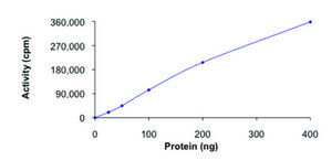 ZAK, active, GST tagged human PRECISIO&#174; Kinase, recombinant, expressed in baculovirus infected Sf9 cells, &#8805;70% (SDS-PAGE), buffered aqueous glycerol solution