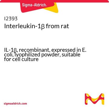 Interleukin-1β from rat IL-1β, recombinant, expressed in E. coli, lyophilized powder, suitable for cell culture