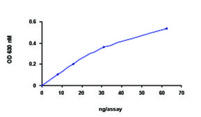 PTPN12 (1-355), active, GST tagged human recombinant, expressed in E. coli, &#8805;70% (SDS-PAGE), buffered aqueous glycerol solution