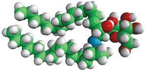 Cerebrosides (Brain) Avanti Research&#8482; - A Croda Brand