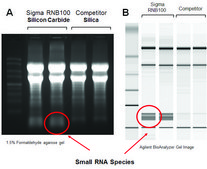 GenElute&#8482; Total RNA Purification Kit
