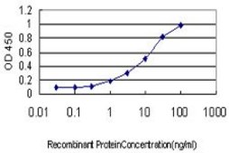 Monoclonal Anti-PSENEN antibody produced in mouse clone 1C12-G5, purified immunoglobulin, buffered aqueous solution