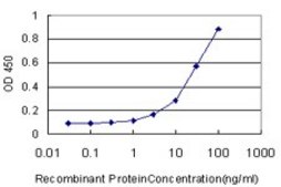 Monoclonal Anti-PRDX1 antibody produced in mouse clone 4B11-D10, purified immunoglobulin, buffered aqueous solution