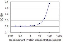 Monoclonal Anti-PEX11B, (N-terminal) antibody produced in mouse clone 2D2, purified immunoglobulin, buffered aqueous solution