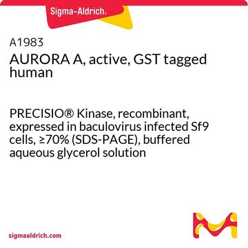 AURORA A, active, GST tagged human PRECISIO&#174; Kinase, recombinant, expressed in baculovirus infected Sf9 cells, &#8805;70% (SDS-PAGE), buffered aqueous glycerol solution